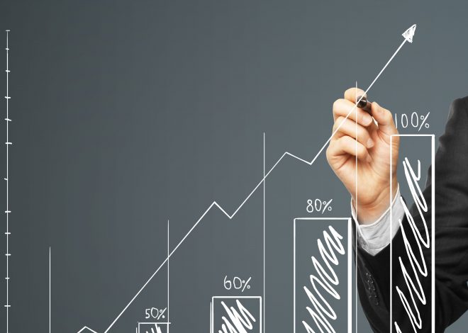 Эффективное управление компанией: система KPI и метрик как инструмент роста - 1